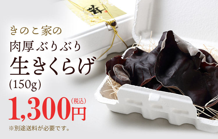 きのこ家の肉厚ぶりぶり生きくらげ1300円