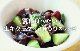 夏に食べたい生キクラゲ×きゅうりのレシピ