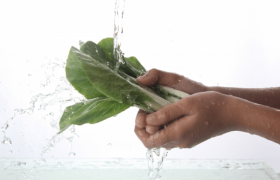 葉野菜を水洗いするイメージ