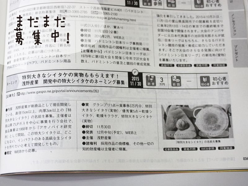 掲載誌面