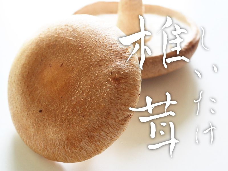 椎茸1