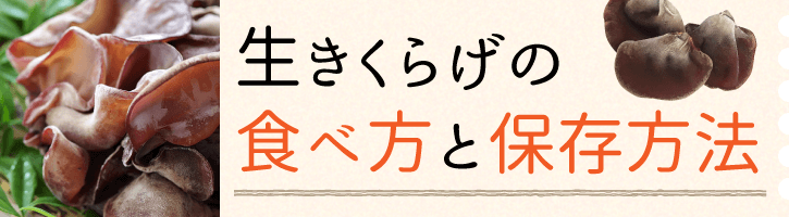 はじめての生きくらげ