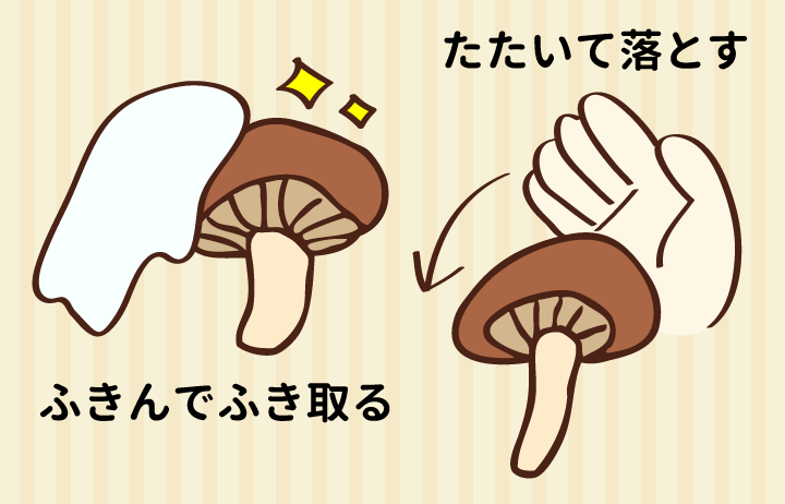 生シイタケの汚れを落とす方法図説