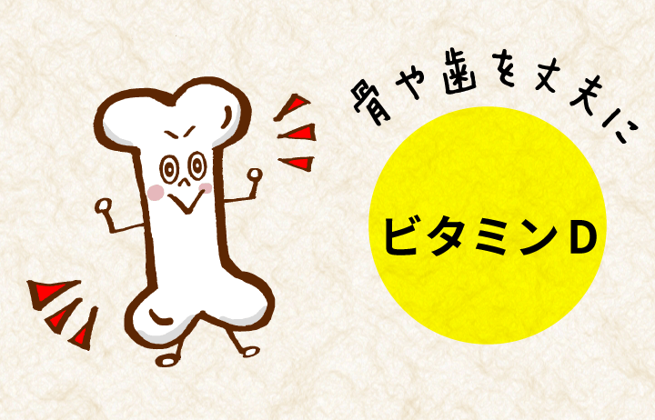 骨や歯を丈夫にするビタミンD