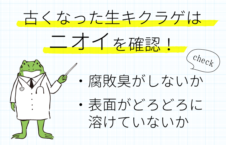 古くなった生キクラゲはニオイを確認