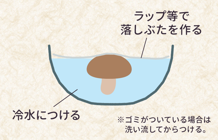 干ししいたけの戻し方 戻し汁も使う活用レシピ きのこ通信 国産きくらげ しいたけ専門店 Gaspoショップきのこ家