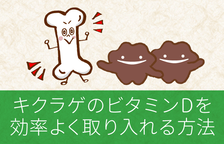 キクラゲのビタミンDを効率よく取り入れる方法