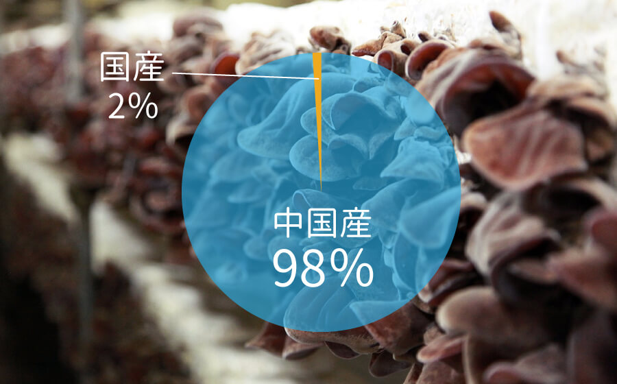 国産きくらげは2％