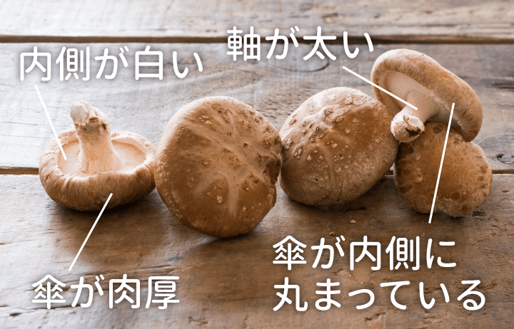 干し 椎茸 賞味 期限切れ