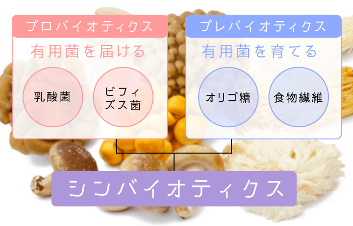 プロバイオティクスとプレバイオティクスの図説