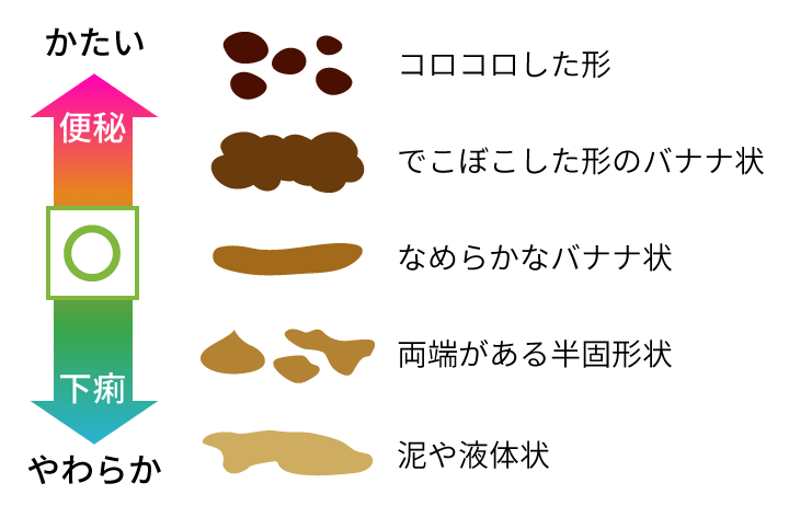 便の形の図説