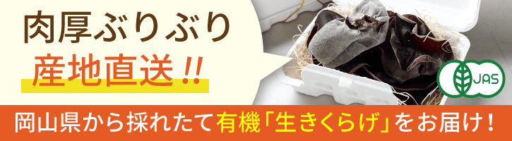 岡山県玉野市から新鮮な「生きくらげ」をお届け