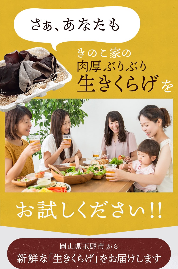 きのこ家の肉厚ぶりぶり生きくらげをお試しください